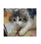 平和なりんりん3（個別スタンプ：14）