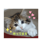 平和なりんりん3（個別スタンプ：16）