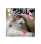 平和なりんりん3（個別スタンプ：23）
