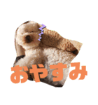ぽっちゃんとゆきとふうた（個別スタンプ：3）