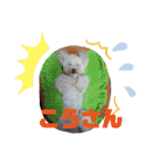 ぽっちゃんとゆきとふうた（個別スタンプ：6）