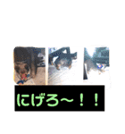 ぽっちゃんとゆきとふうた（個別スタンプ：16）