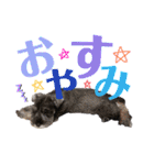 ソアンスタンプ（個別スタンプ：4）