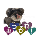 ソアンスタンプ（個別スタンプ：10）