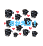 ソアンスタンプ（個別スタンプ：11）