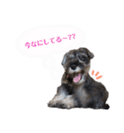 ソアンスタンプ（個別スタンプ：23）