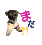 ソアンスタンプ（個別スタンプ：29）