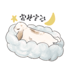 時々煽るうさぎ（個別スタンプ：1）