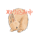 時々煽るうさぎ（個別スタンプ：3）