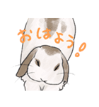 時々煽るうさぎ（個別スタンプ：6）