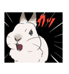 時々煽るうさぎ（個別スタンプ：7）