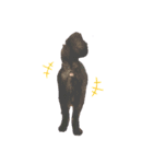 ねこししょう2（個別スタンプ：2）