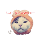 ねこししょう2（個別スタンプ：8）