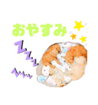 藤本家のわんこたち（個別スタンプ：1）