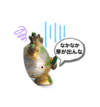 陶器製植物「パキポンタンファミリー」（個別スタンプ：14）
