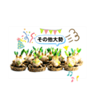 陶器製植物「パキポンタンファミリー」（個別スタンプ：17）