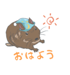 チンチラなどげっ歯類の集い（個別スタンプ：6）