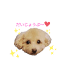 ももたろうくんスタンプ（個別スタンプ：2）