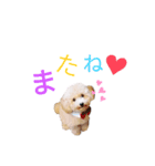 ももたろうくんスタンプ（個別スタンプ：5）