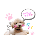 ももたろうくんスタンプ（個別スタンプ：7）