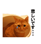 もふもふ茶トラ猫（個別スタンプ：18）