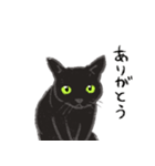 黒猫のクーさん（個別スタンプ：2）