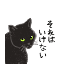 黒猫のクーさん（個別スタンプ：8）