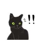 黒猫のクーさん（個別スタンプ：11）