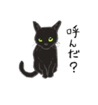黒猫のクーさん（個別スタンプ：16）