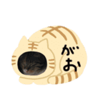 がおの日常（個別スタンプ：15）