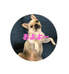 もんちゃんですvol.2（個別スタンプ：4）