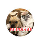 もんちゃんですvol.2（個別スタンプ：5）
