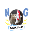 どす恋タイガ（個別スタンプ：3）