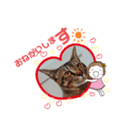 どす恋タイガ（個別スタンプ：5）