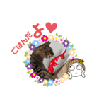 どす恋タイガ（個別スタンプ：6）