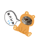 どす恋タイガ（個別スタンプ：8）