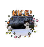 うちのきゃわいい猫（個別スタンプ：4）