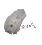 びあちゃんすたんぷ（個別スタンプ：7）