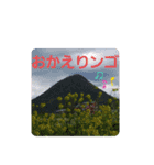 可愛いあいさつ♡（個別スタンプ：2）