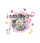 可愛いあいさつ♡（個別スタンプ：3）