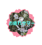 可愛いあいさつ♡（個別スタンプ：4）