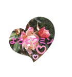 可愛いあいさつ♡（個別スタンプ：6）
