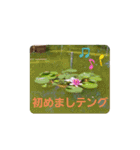 可愛いあいさつ♡（個別スタンプ：7）