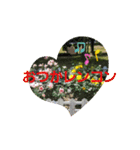 可愛いあいさつ♡（個別スタンプ：9）