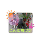 可愛いあいさつ♡（個別スタンプ：11）