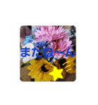 可愛いあいさつ♡（個別スタンプ：16）