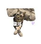 加藤のライちゃんスタンプ（個別スタンプ：10）