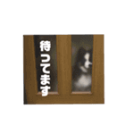 雑種犬 じろまる（個別スタンプ：13）