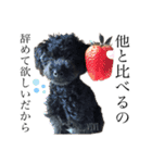 黒プーviviたん（個別スタンプ：14）