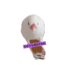 トイプードルと文鳥2（個別スタンプ：3）